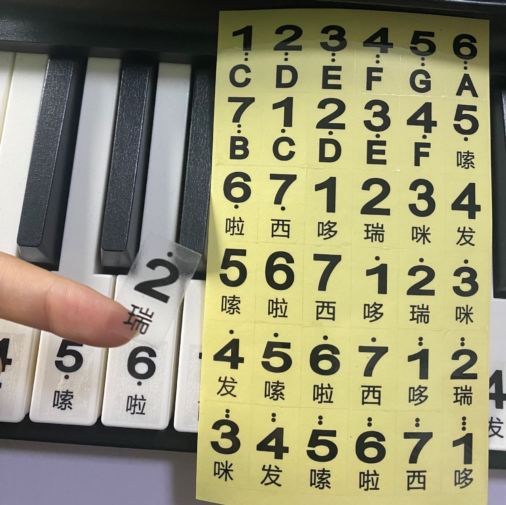 Wholesale Piano Sticker Keyboard Note Sticker 61-Key Transparent Note Scale Chinese Large Characters Self-Adhesive Electronic Keyboard Sticker