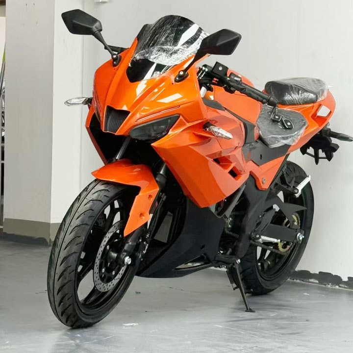 Factory Export Magic Shadow RR Jiaolong Ducati Style Electric Motorcycle Sports Bike Two-Wheel Supersport High-Speed Electric Motorcycle