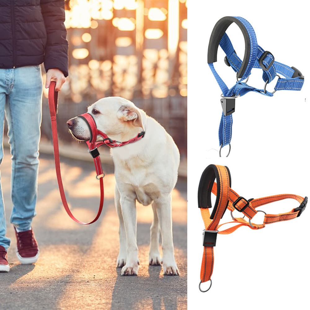 Dog Muzzle Training Leash Nose Ring Dog Training Anti-Pull Leash Adjustable Anti-Bite Nose Hair Mask