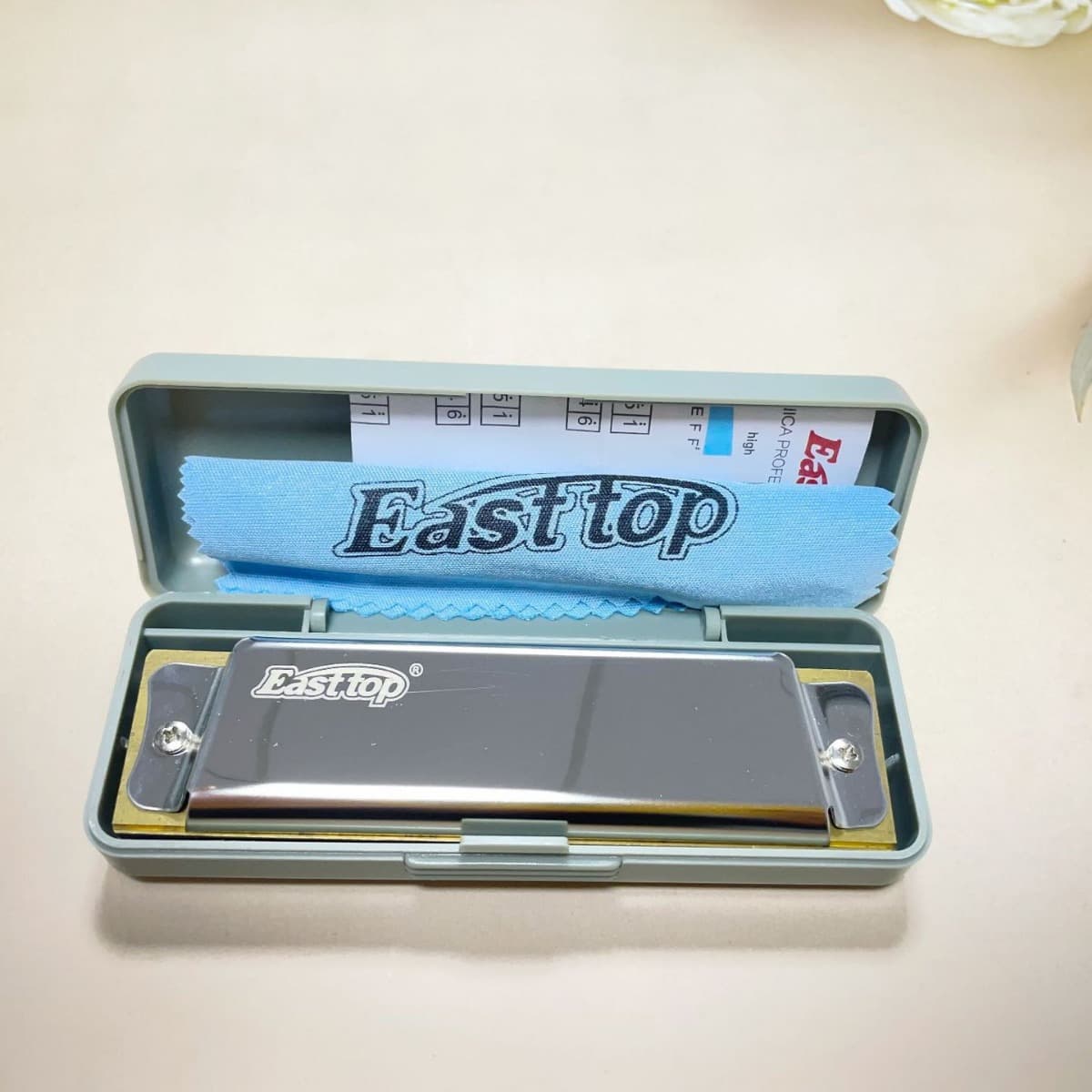 Blues 10-Hole C-Tune Harmonica for Beginners Students Practice Musical Instrument Stainless Steel Cover Plate Resin Sound Hole