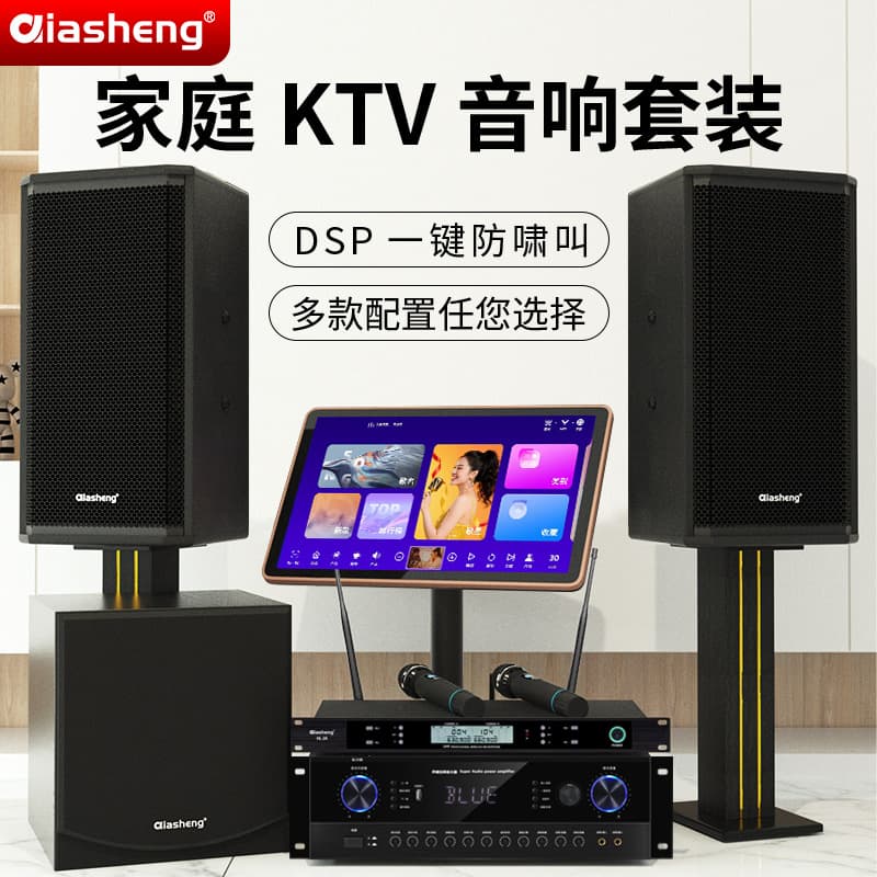 Home KTV Audio System, High-Power Multi-Functional Amplifier with Wireless Microphone Speaker Set for TV