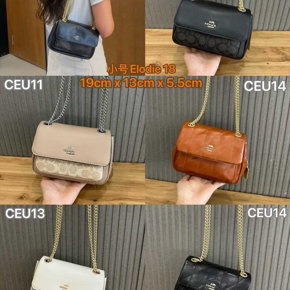 COACH 2026 New Elodie 19 Postman Chain Bag, Flap Bag, Handheld, Shoulder, Crossbody Versatile Women's Bag