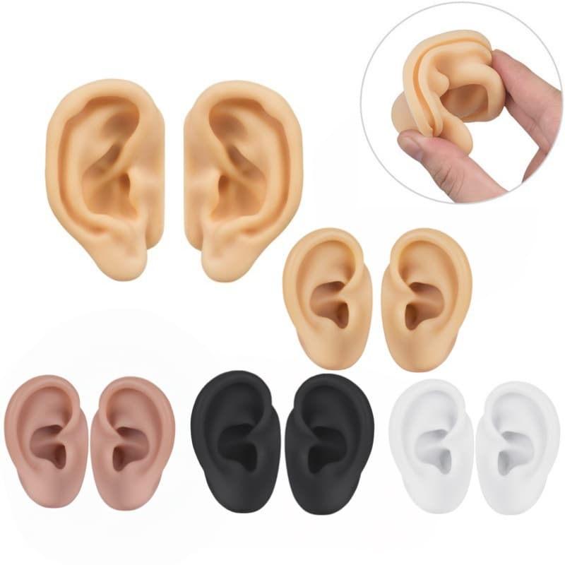 5D Simulated Ear Ear-Cleaning Teaching Soft Silicone Earphone Display Model Ear Acupoint Ear Stud Jewelry Hearing Aid Cross-Border Prop