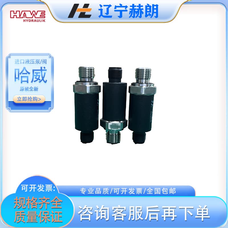 Genuine new HAWE DT 2-2 pressure relay, German HAWE brand relay, hydraulic pump relay