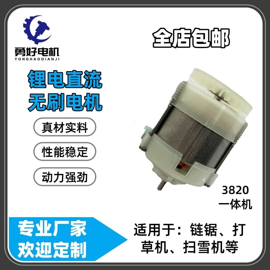 3820 All-in-One Power Tool Custom Portable Lithium Battery DC Brushless Motor Chainsaw Snow Thrower Stator Rotor