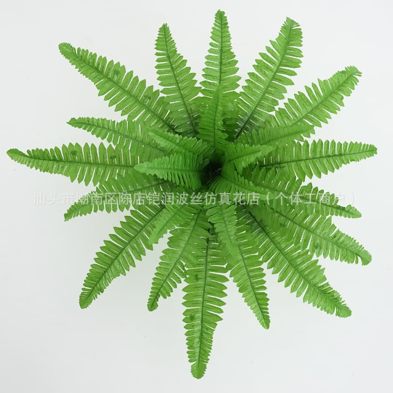 24 heads of simulated Persian leaves manufacturer wholesale simulated green plants Persian fern leaves soft decoration engineering plant wall garden scenery