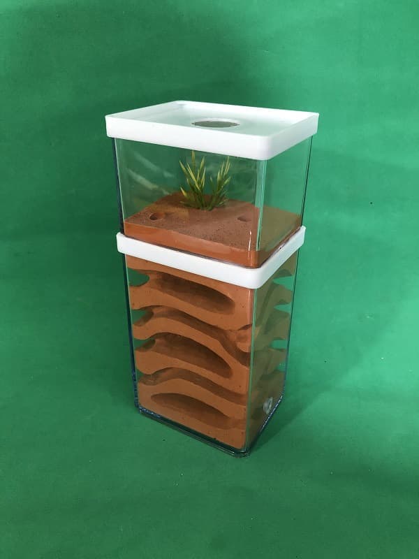 Large double-story pet ant ant nest ant castle ant workshop ant house ant castle nest