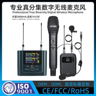 Enping LangSheng Custom High-End Professional True Diversity Wireless Digital Microphone Built-in Battery Singing Universal Microphone