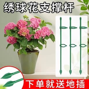 Monstera, Tomato, Hydrangea, Tomato Fixing Rod, Climbing Vine Gardening Flower Stand, Plant Support Rod Anti-Lodging Support Stick