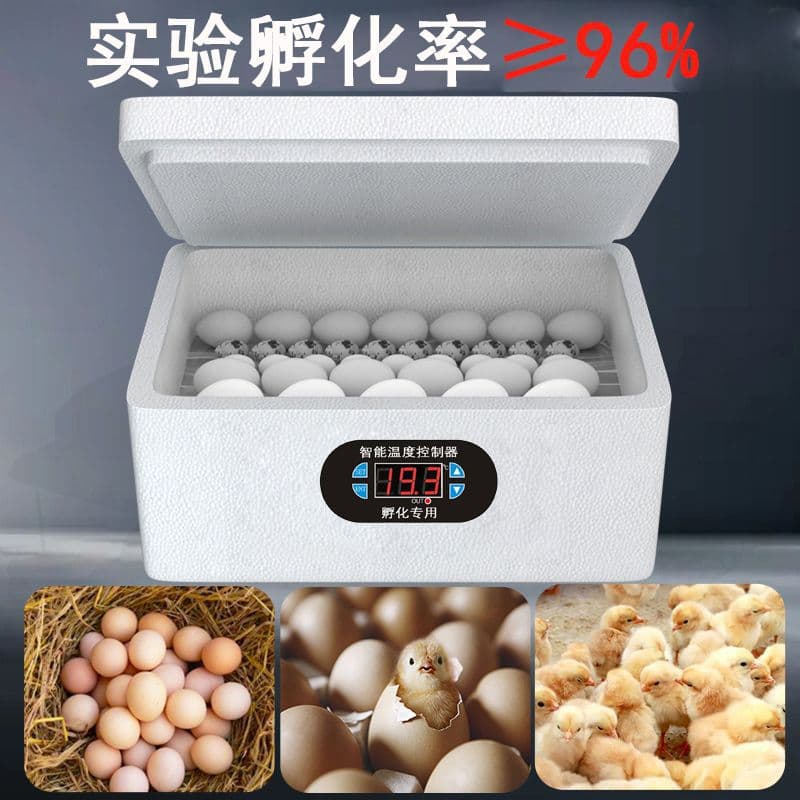High Hatch Rate Small Smart Incubator for Home Use, Automatic Constant Temperature Incubator for Chicken, Duck, and Goose Eggs