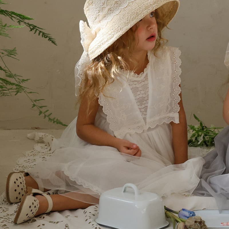 2026 Summer New Arrival Strawberry Korean Girls Fashionable Embroidered Lace Tulle Puffy Dress