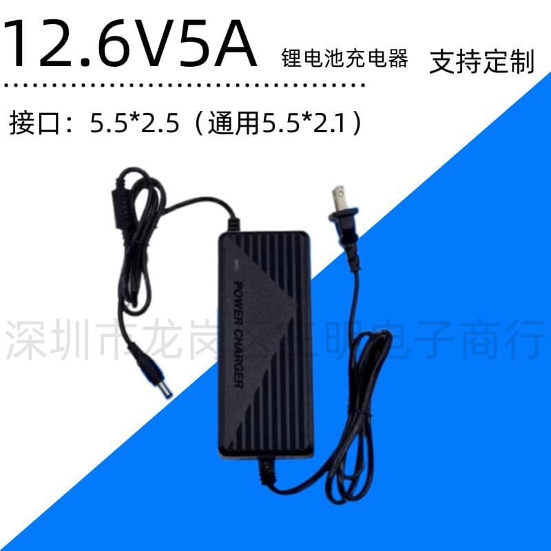 Lithium Battery Charger 12.6V 5A, Compatible with 16.8V, 21V, 25.2V, 18650 Charger for Power Tools