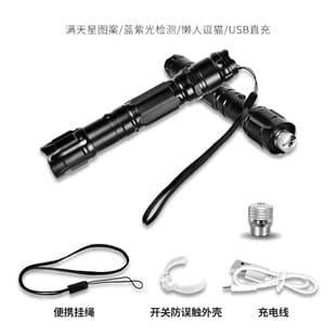 USB009 Cross-border Exclusive Red Green Blue Purple Laser Pointer Laser Positioning Aid