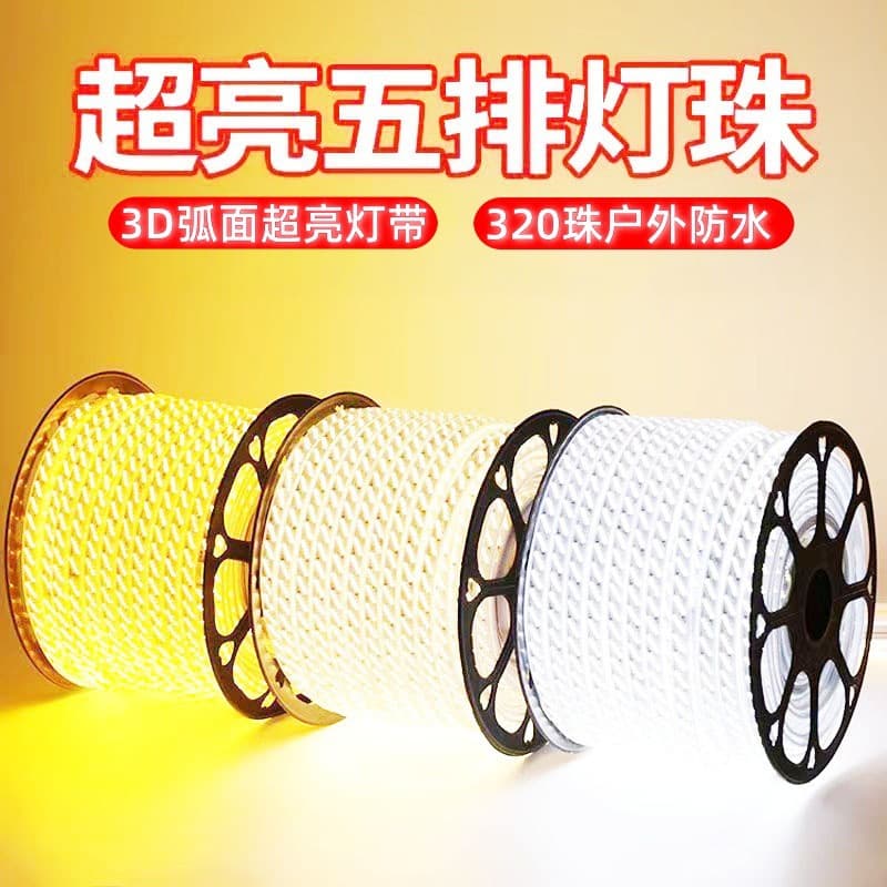 Outdoor LED Strip Light 3-Row 5-Row Curved Surface 220V Lighting Engineering Flexible Waterproof High Brightness Light Strip