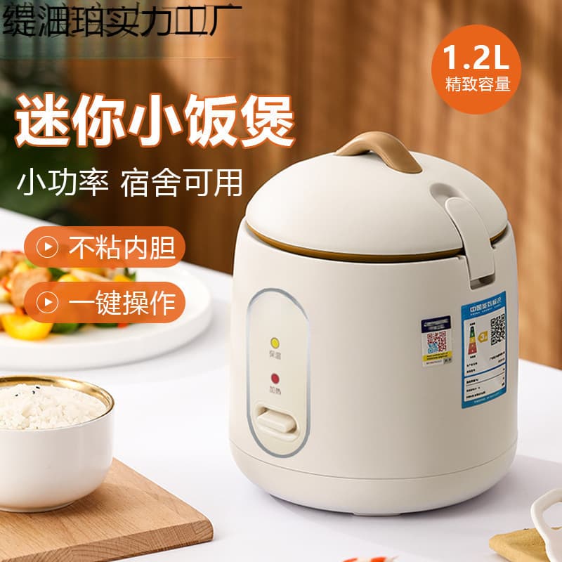 2025 Multi-functional Mini Rice Cooker for Home and Dorm, Low Power with Non-Stick Inner Pot, Gift Idea
