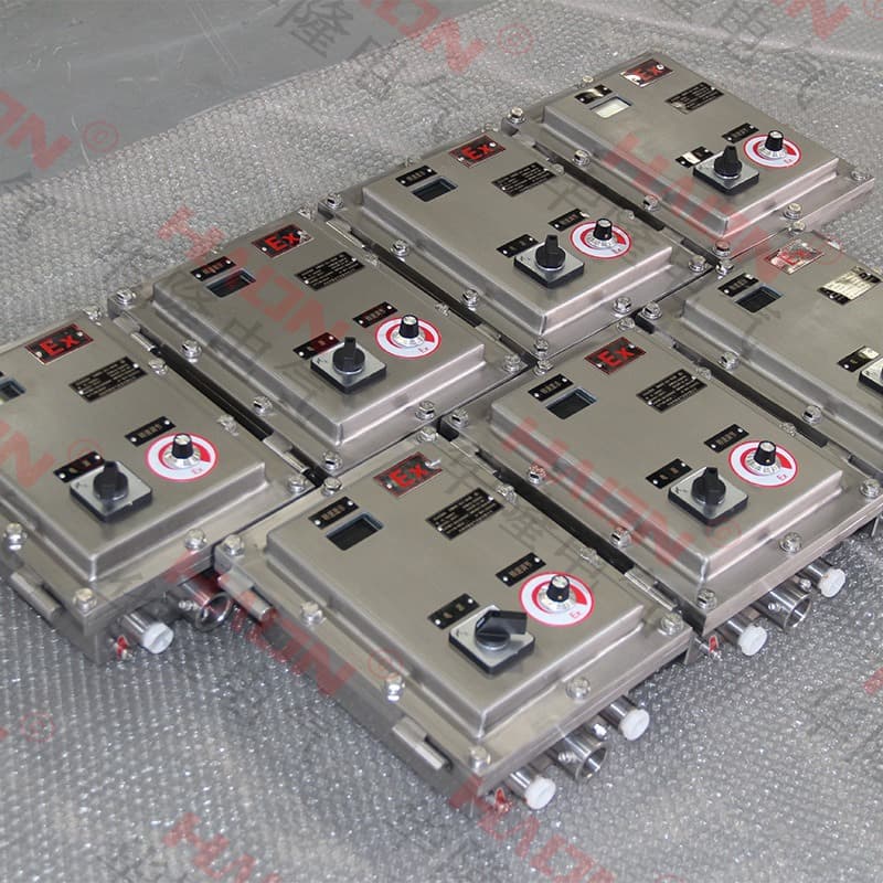 Hualong Electric Factory Custom Explosion-Proof CT4 Control Box Easy Operation Lightweight Use Full Certificates