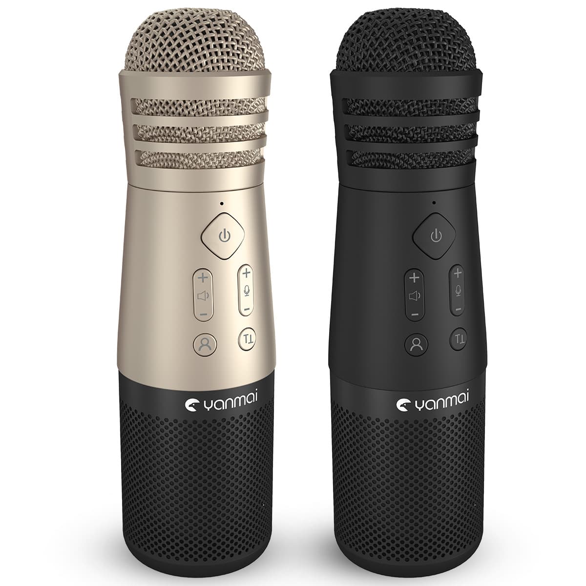 Condenser Microphone Home Party Entertainment Music Portable Bluetooth Wireless KTV Speaker All-in-One