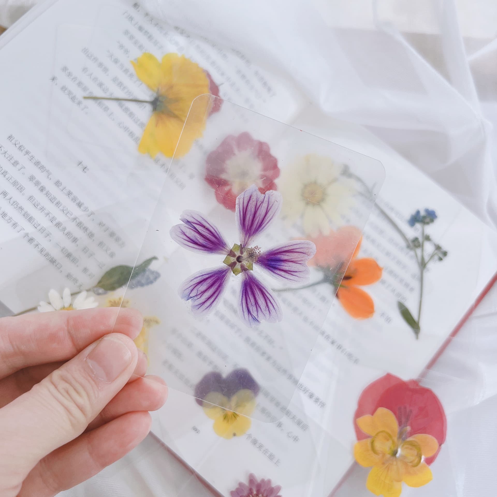 Laminated Dried Flower Bookmark Plant Specimen Bookmark Real Leaf Laminated Bookmark Photography Prop