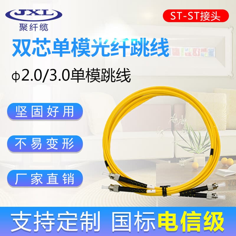 ST-ST Indoor Single-Mode Dual-Core Fiber Optic Patch Cord Indoor Single-Mode Patch Cord Dual-Core Pigtail Telecom Grade Patch Cord 2 Meters