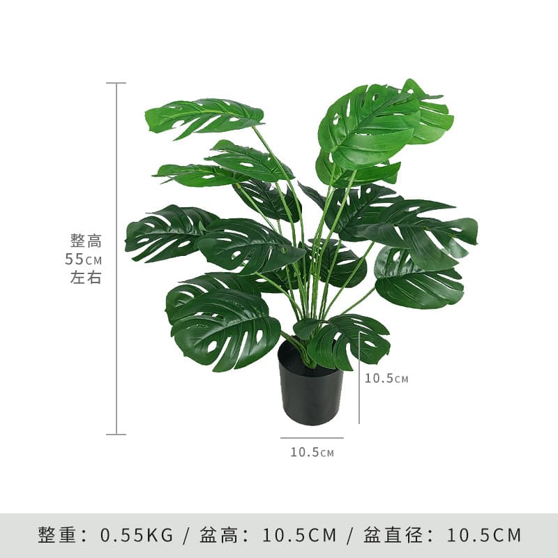 Desktop Bonsai Living Room Decoration Floor Plastic Artificial Flower Display Simulated Plant Small Monstera Simulated Green Plant Small Potted Plant