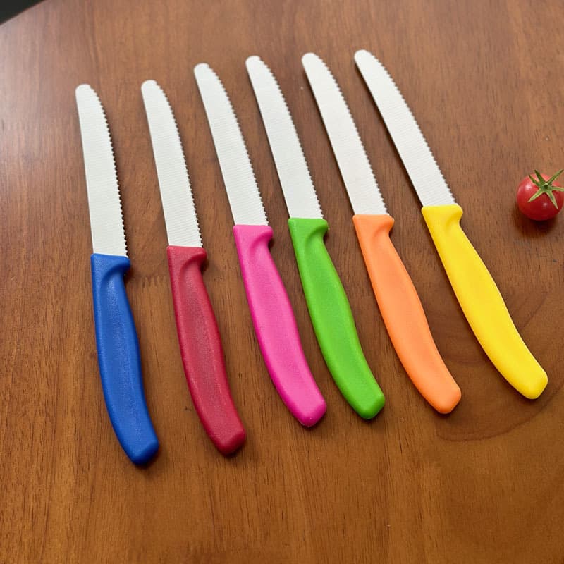 Cross-border Amazon Stainless Steel Sharp Fruit Peeler with Plastic Handle for Home Use