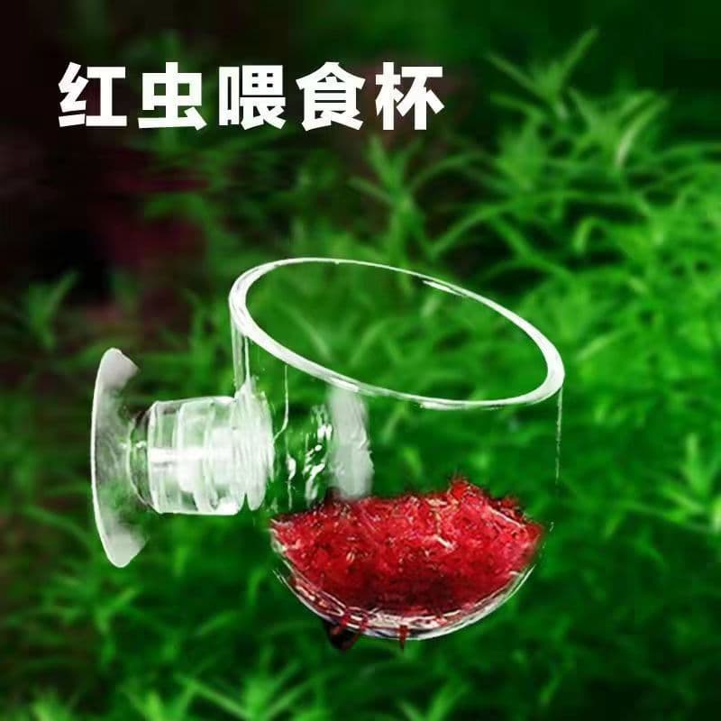 Red Worm Feeder, Feeding Ring, Fish Tank Bloodworm Cup, Tubifex Cup, High-Transparency Bloodworm Feeding Cup, Aquarium Decoration Cup