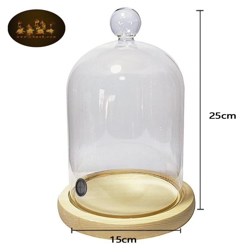 Glass Acrylic Smoke Cover Molecular Cocktail Perfume Container Wood Shavings Snuff Trinket Dish Nordic Style Simple Design