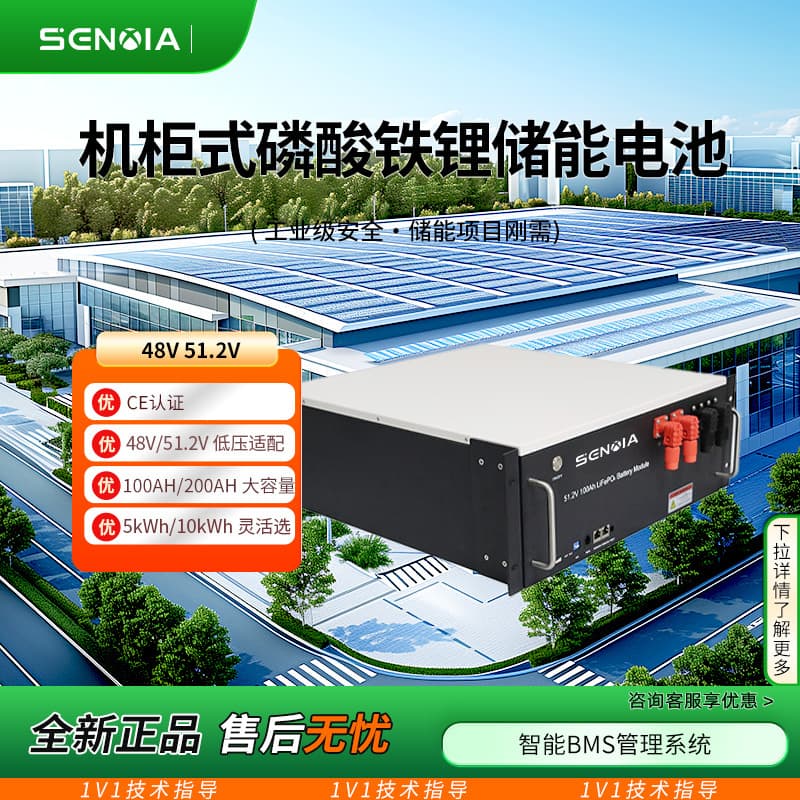 Rack-mounted low-voltage 48V/51.2V LiFePO4 battery 100AH/200AH home energy storage battery