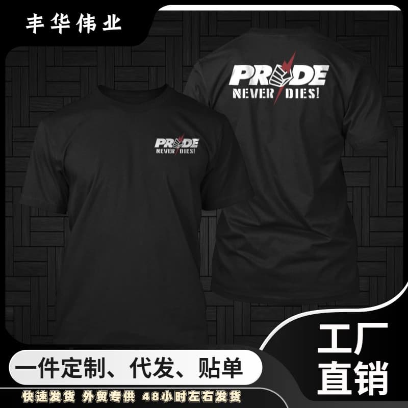 Pride Fade Graphic Pride T-Shirt Men Women Cotton Short Sleeve Retro Y2K Top Summer Sports