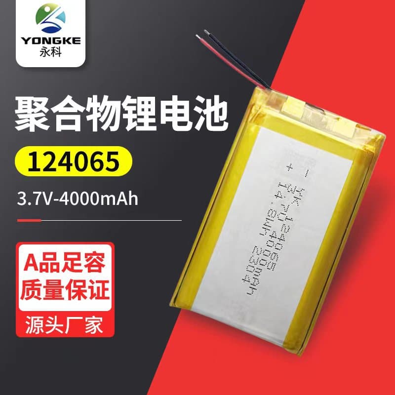 124065 Lithium Battery 4000mAh Beauty Instrument Bluetooth Headset Electric Toy 3.7V Polymer Lithium Battery
