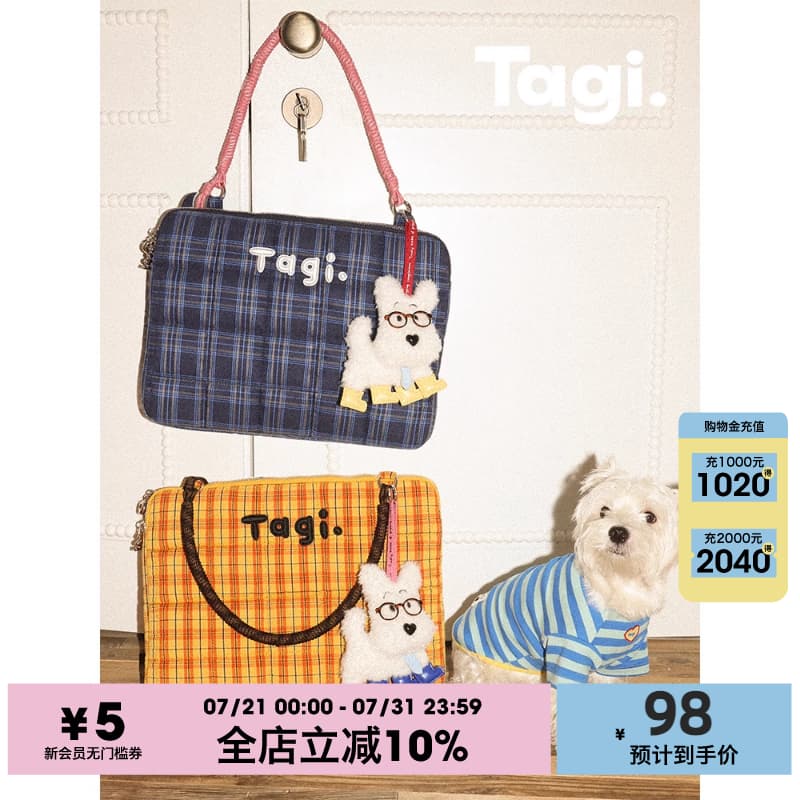Tagi Woven Small Pillow Embroidered Handbag Casual Everyday Shoulder Bag Shockproof Laptop Bag Underarm Notebook Bag