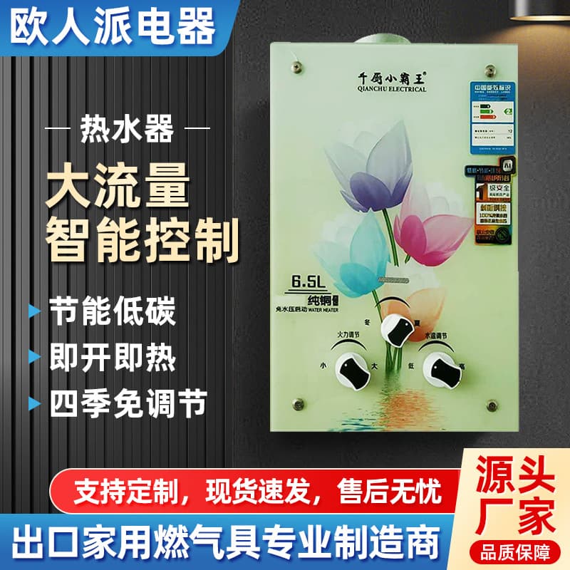 6.5L Forced Exhaust Instant Gas Water Heater Direct Exhaust Constant Temperature Natural Gas LPG Water Heater Wholesale