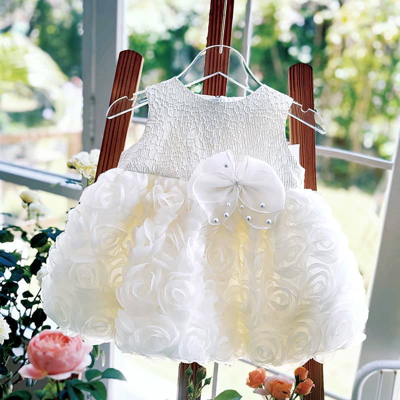 Baby Girl Princess Dress Summer 2025 Birthday Party Flower Girl Dress Toddler One-Year-Old Baby Dress Children's Gown