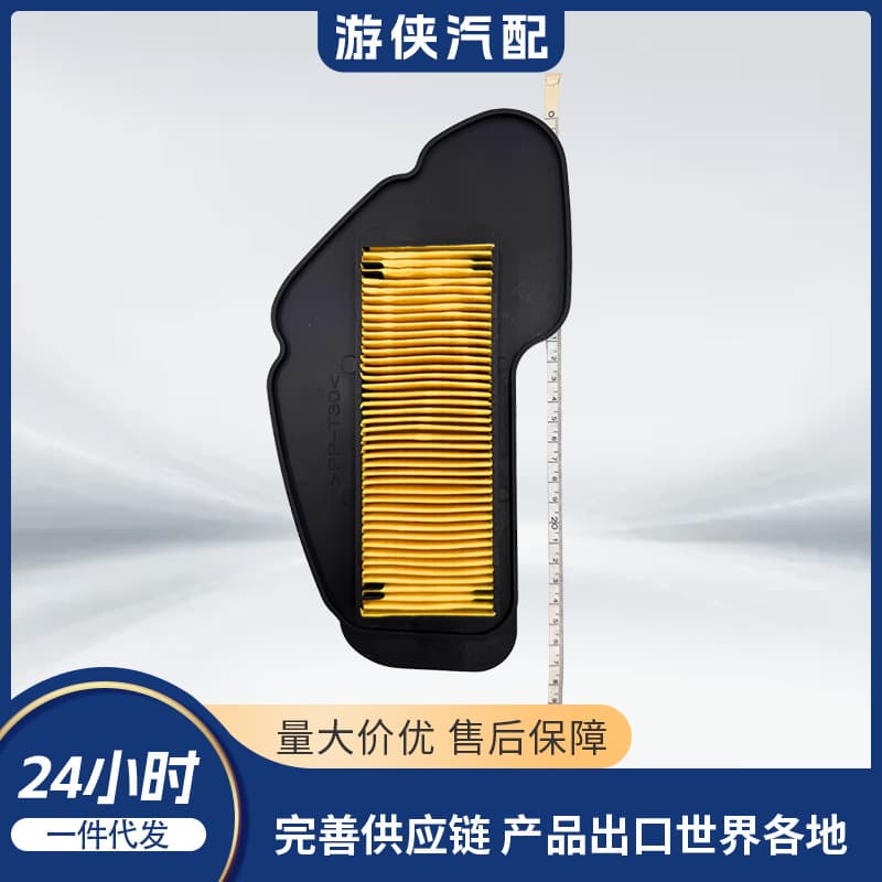 Genuine Yamaha Air Filter for EFI ZR50 EVO2 VINO50 5VL-E4450-02