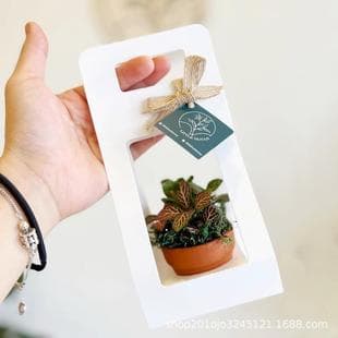 Mother's Day Flower Gift Box, Handheld Flower Box, Succulent Pot Box, Floral Salon Flower Box, Plant Box, Foldable Box