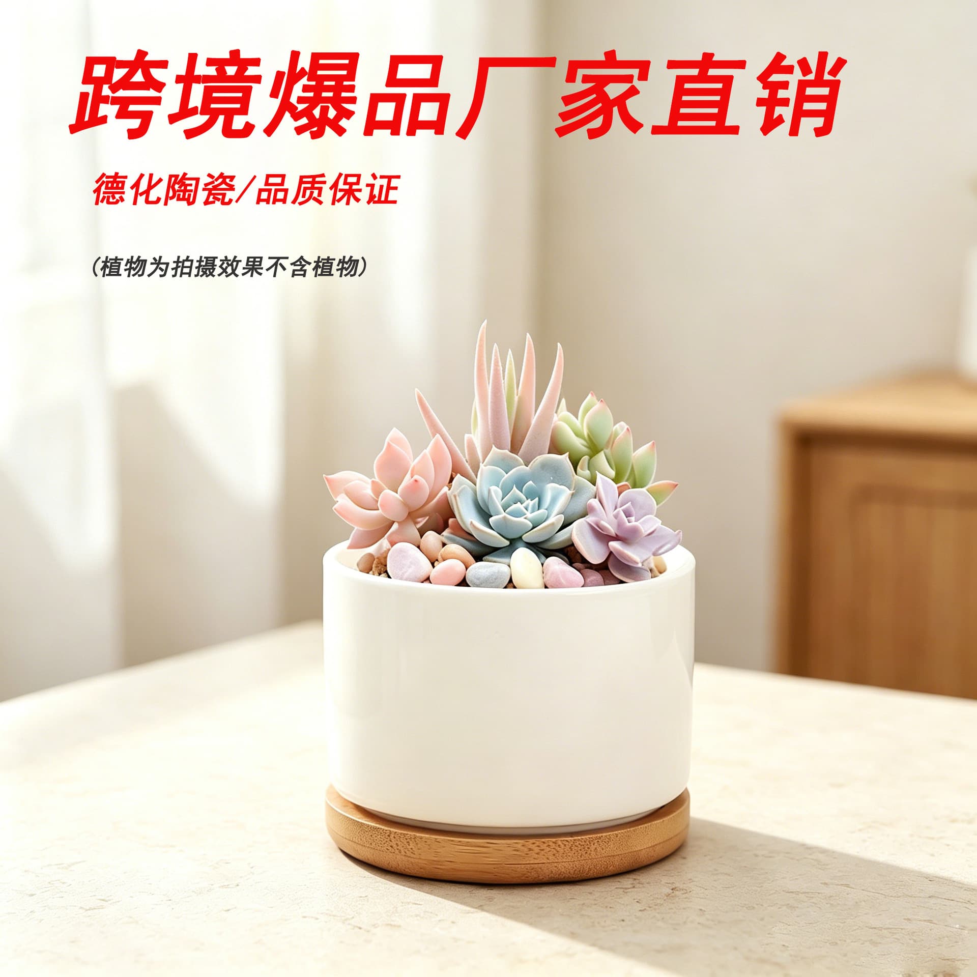 Ceramic Succulent Planter Creative Indoor Desktop Modern Home Gardening Cross-border Amazon TEMU Flower Pot Logo White