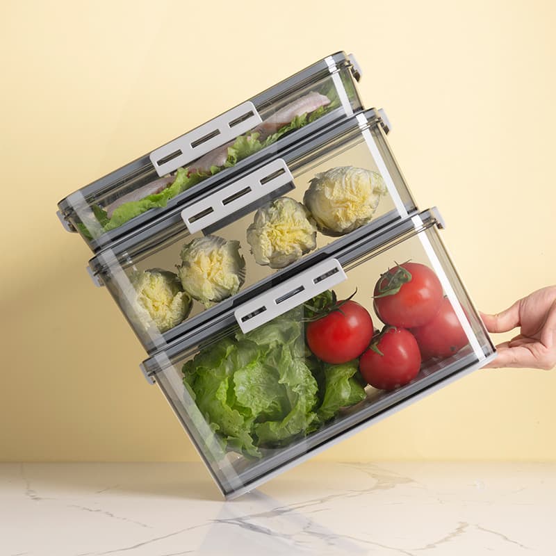 Household Plastic Food-Grade Storage Box for Refrigerator, Single-Layer Draining Storage Box for Eggs, Fruit and Vegetable Preservation and Storage