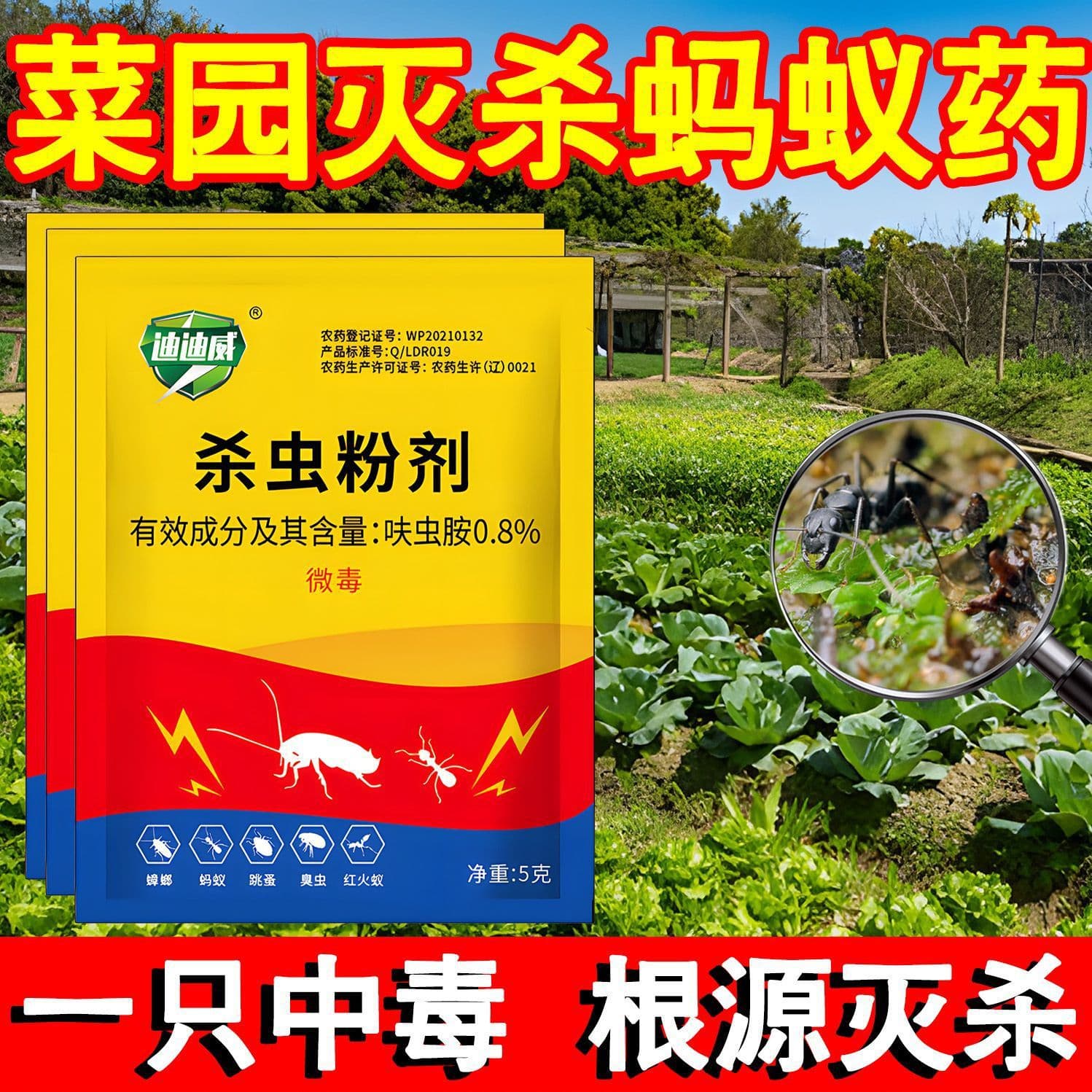 Strong Ant Killer for Complete Nest Elimination, Non-Toxic, Indoor/Outdoor Use in Kitchen, Garden, and Fields