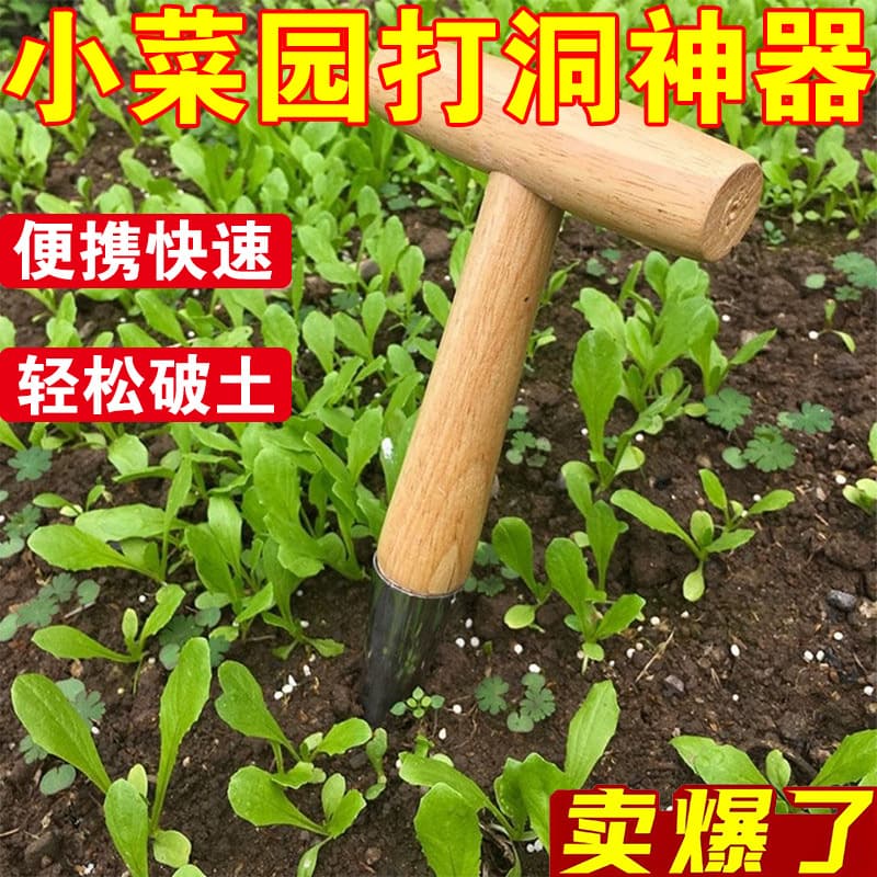 Horticultural seeder, seedling tray, garlic manual seeding planter, horticultural wooden handle, hole punching tool, transplanting seedlings, planting flowers and vegetables.