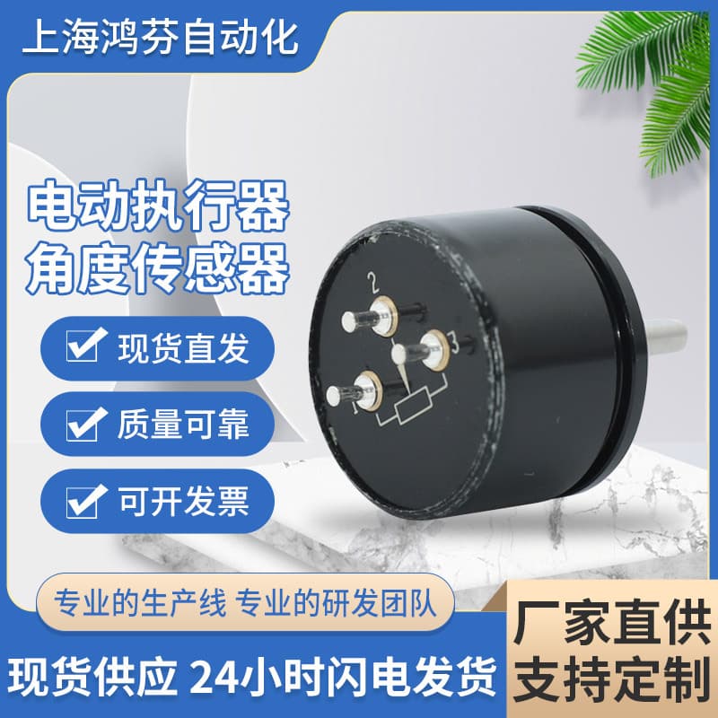 Electric Actuator Angle Sensor