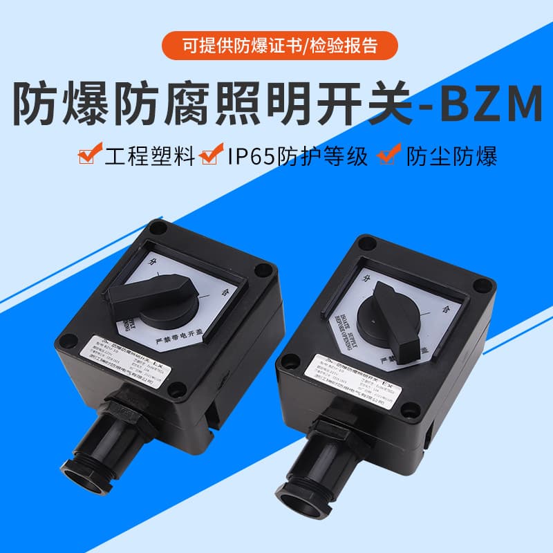Manufacturer Supply BZM Series Explosion-Proof Lighting Switch Waterproof Dustproof Lighting Control Switch