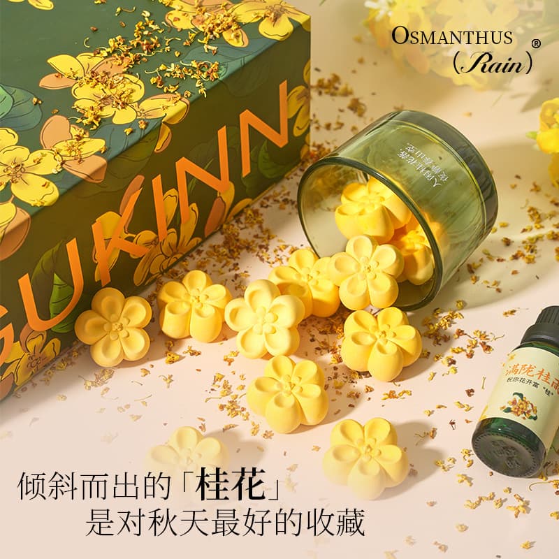 Osmanthus Fragrance Diffuser Gift Set, Flameless Fragrance Ornament, Practical Birthday Gift for Girls
