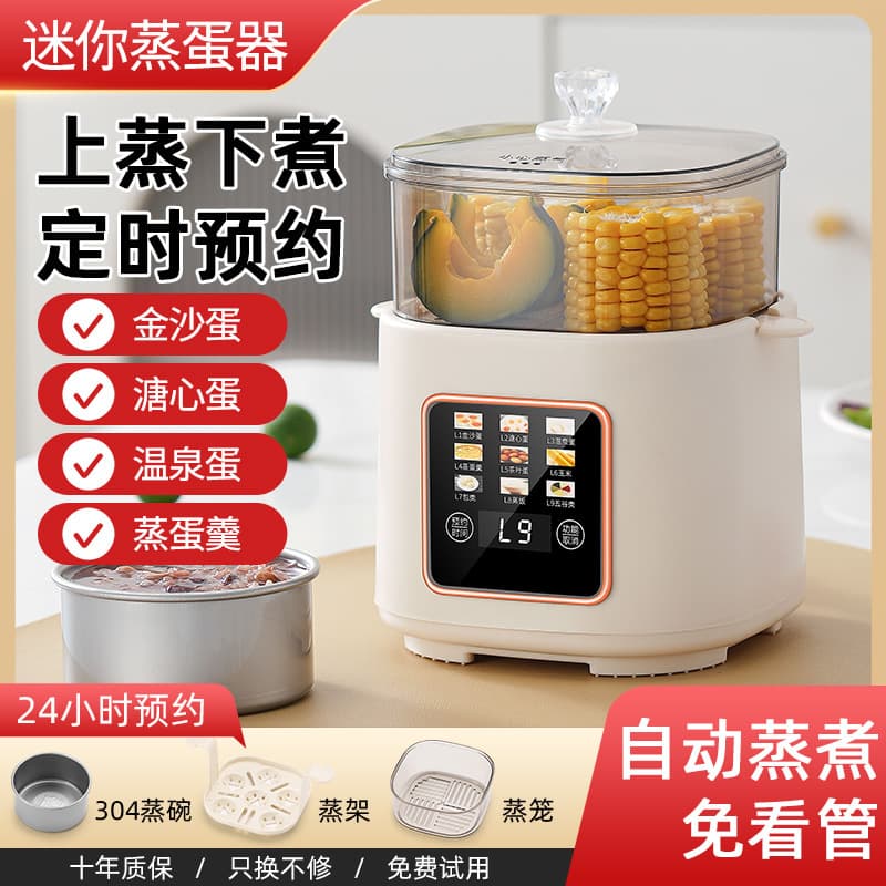 Amazon Cross-border Multi-use Mini Egg Cooker 110V for USA, Japan, Taiwan, Canada