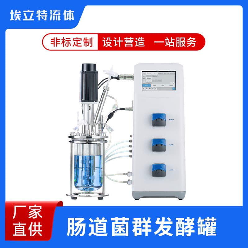 Gut Microbiota Fermentation Tank - Plant Cell Culture Reactor - Customized on Demand