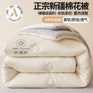 Xinjiang Cotton Washed Cotton Winter Quilt Thick Warm Cotton Core Spring/Autumn Single Summer Air Conditioning Blanket All-Season Universal