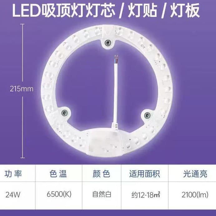 Disc Light Replacement for Living Room/Bedroom 24A-AS Lens Module Round Light Panel [6500K 24W]