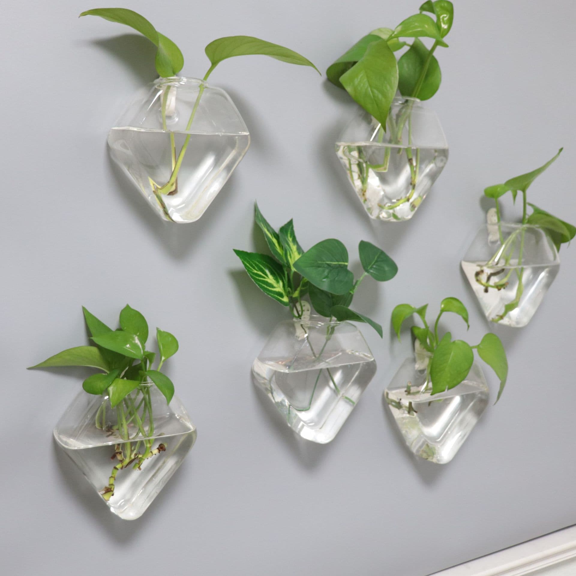 Creative wall-mounted glass vase, transparent hanging hydroponic plant glass vase, wall-mounted glass vase