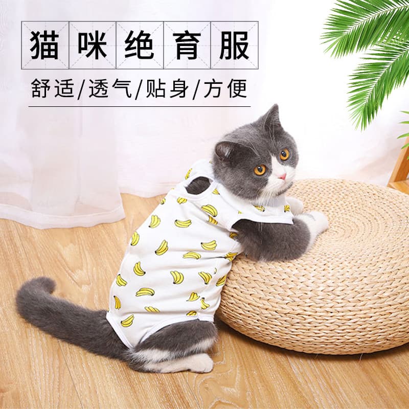 Thin Female Cat Weaning Suit, Spay Recovery Suit with Velcro, Post-Surgery Anti-Lick Clothing, Pet Breathable Panties