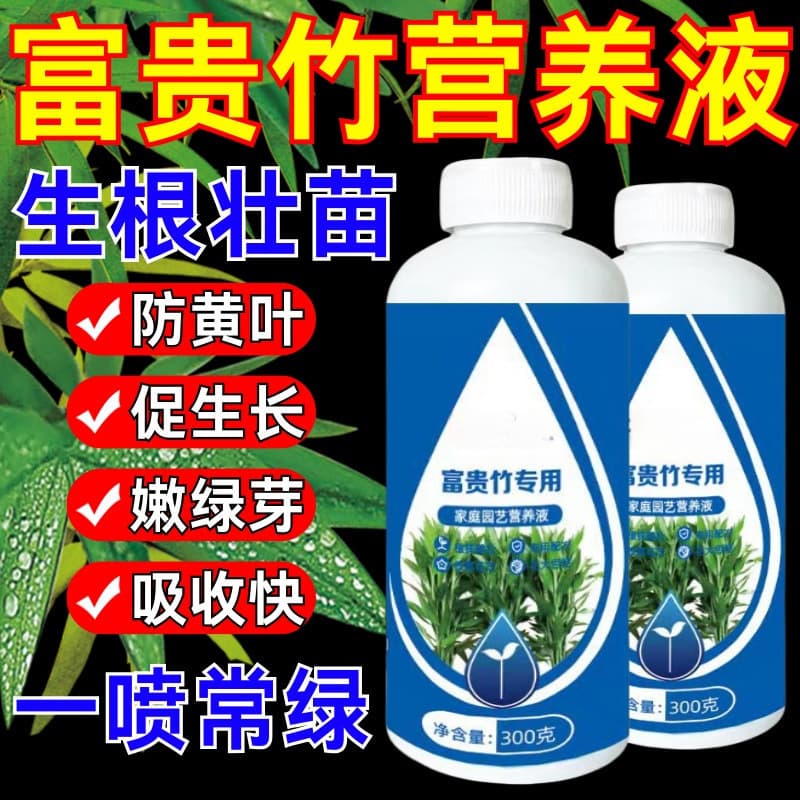 Lucky Bamboo Special Nutrient Solution Hydroponic Cure Yellow Leaves Root Cracking Transfer Bamboo Guanyin Bamboo Home Potted General Fertilizer