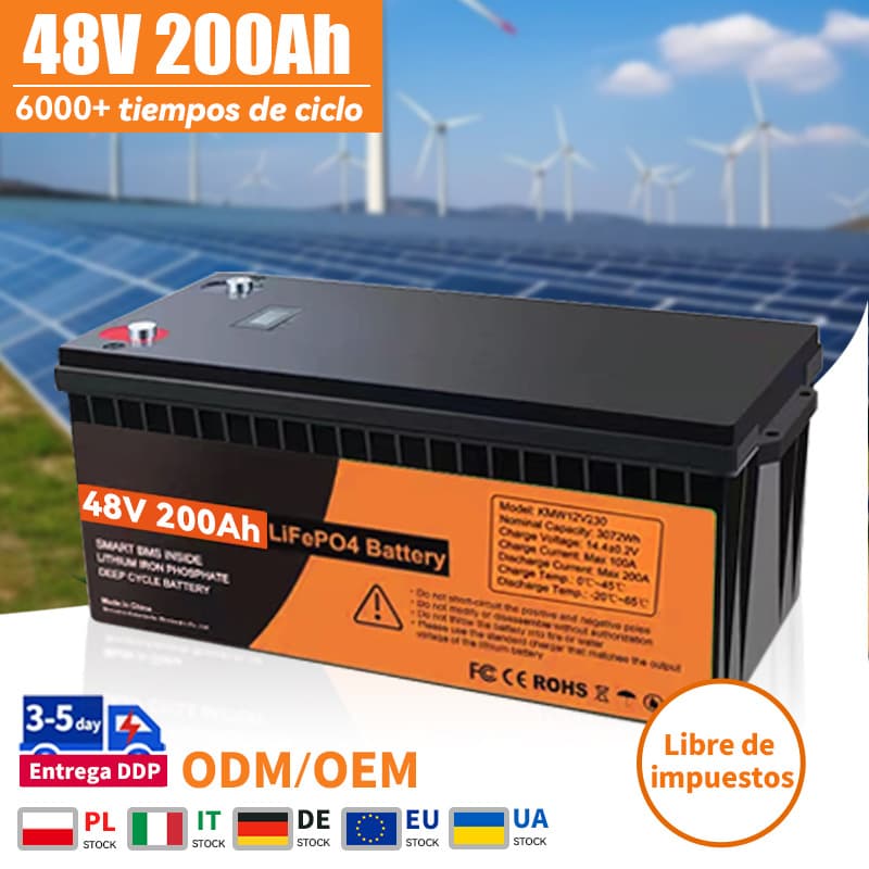 Batería recargable LiFePO4 48V 200AH con BMS 12V 24V 300Ah